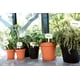 thumbnail image 3 of Maceta de cultivo Green Basics 13 - Maceta de cultivo - gris oscuro - interior y exterior - ? 17 x H 15,6 cm, 3 of 5