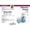thumbnail image 3 of Innopharma Siliprotec Natural 60 Tabs, Silimarina hepatoprotectora para perros y gatos, 3 of 4