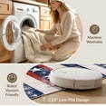 thumbnail image 5 of ODIKA 2'x3' Washable Accent Rug Pet Friendly, Bedside Mat Patriotic Stars Mosaic With Distressed Stripe Bands And Star Corners for Bedroom, Nursery, RV, 5 of 7