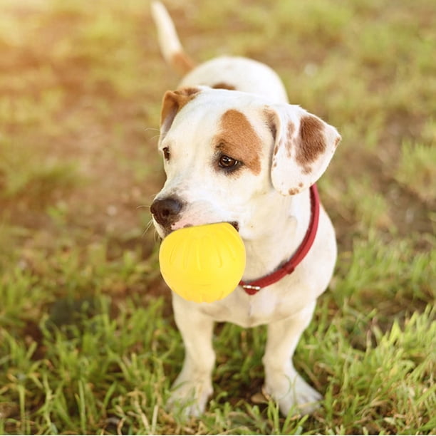Juguete de pelota para perros, juguete masticable portátil y duradero de EVA amarillo para perros, juguete de pelota para perros de primera línea