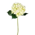thumbnail image 1 of Vickerman 33'' Fabric Artificial Hydrangea Spray in Light Green (Set of 2), 1 of 3