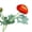 Orange, variant on fuxzkrlz Artificial Ranunculus Asiaticus 2 Head Realistic Fake Silk Flower with Stem Home Office Wedding Party Table Centerpiece Vase Faux Bloom Decoration
