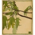 thumbnail image 2 of Hannah Borger Overbeck 12x13 Black Ornate Wood Framed Double Matted Museum Art Print Titled: Maple (About 1915), 2 of 5
