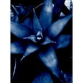 thumbnail image 3 of Phillip, Jamie 15x18 Black Modern Framed Museum Art Print Titled - Tropical 6, 3 of 5