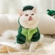 thumbnail image 5 of Traje de transformación de dinosaurio lindo gato cálido de franela de otoño e invierno Cachorro Gato ropa divertida para gato de cuatro patas, 5 of 6