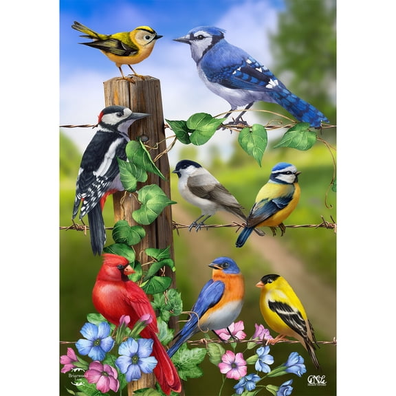 Briarwood Lane Spring Garden Flag 12x18 For Outdoor Country Birds For Spring Garden Flag Flags For Outside
