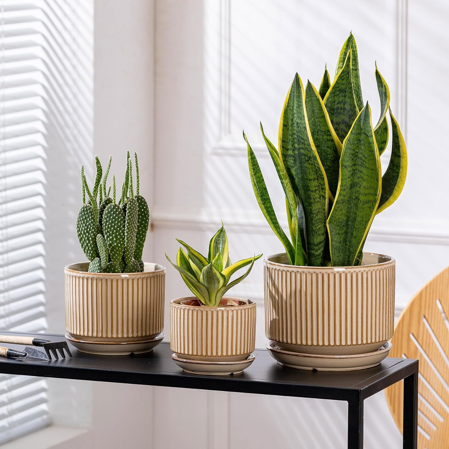 Set of 3 Speckle Gray Ceramic Plant Pots, 4.3+5.5+6.7 Inch with Drainage Hole, Saucer & Hole Pads, Striped Decorative Planter for Indoor Plants and Gardening