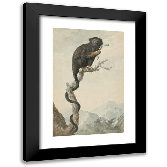 Jacob Perkois 11x14 Black Modern Framed Museum Art Print Titled - A Red-Handed Tamarin (1776)