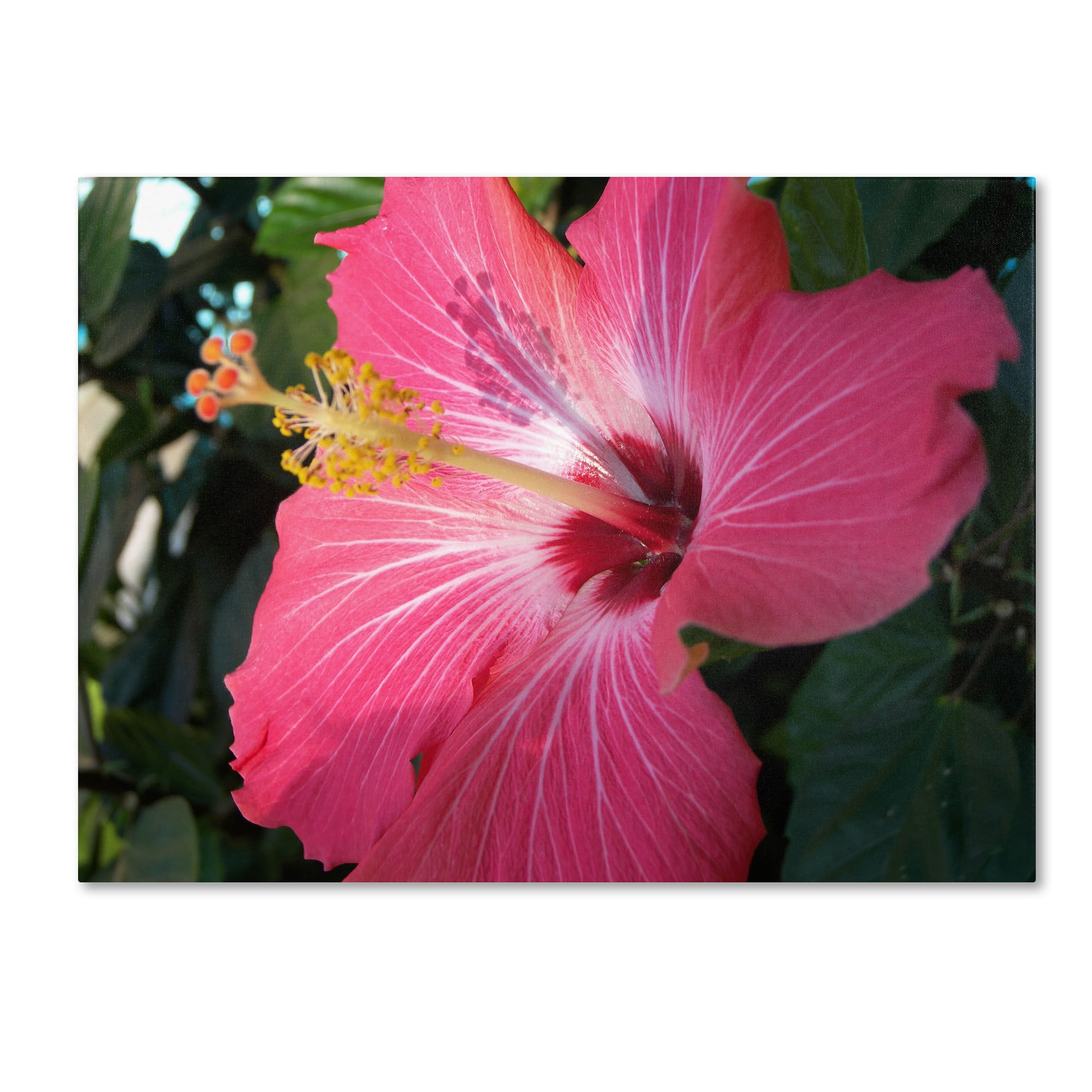 Trademark Fine Art "Empowering Bliss" Canvas Art by Monica Fleet