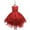 Red, variant on Godderr Kids Girls Princess Dress Tutu Dress Sleeveless Lace Big Girls Princess Performance Stage Dress Party Gown Birthday Outfit Photography Prop Special Occasion Princess Dresses for 3-14Y