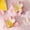 Pink PK, variant on Xecvkr Sealing Clips Double Layer Refrigerator Magnet Airtight Kitchen Bag Flower Shaped Clip Snack Food Seal Moisture Proof Fridge Organizer Decorative Food Storage Solution Pink