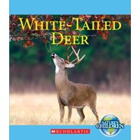 White-Tailed Deer