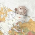 thumbnail image 2 of Rocae World Map 1 for Pet Blanket Dog Blanket Cat Blanket Soft Sleep for Small Medium Pet-Small, 2 of 8
