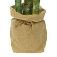 thumbnail image 6 of Artificial Palm Plant in Planter (Set of 2), 6 of 8