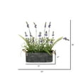 thumbnail image 2 of Vickerman 16" Artificial Lavender Flower Fern in Iron Pot., 2 of 4