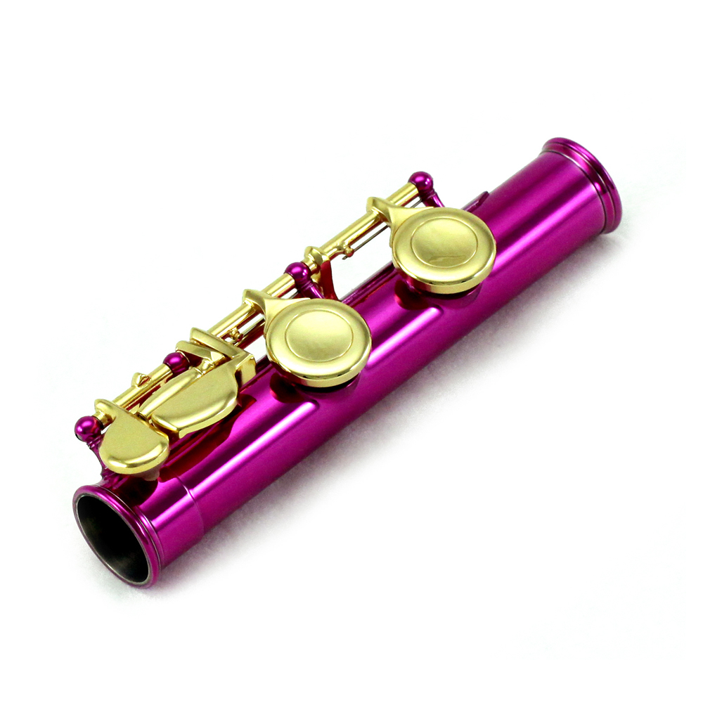 Sky C Flute with Lightweight Case, Cleaning Rod, Cloth, Joint Grease and Screw Driver - Hot Pink/Gold Closed Hole