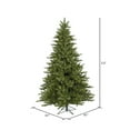 thumbnail image 3 of Vickerman 5.5' King Spruce Artificial Christmas Tree, Warm White Dura-Lit® LED Lights, 3 of 4