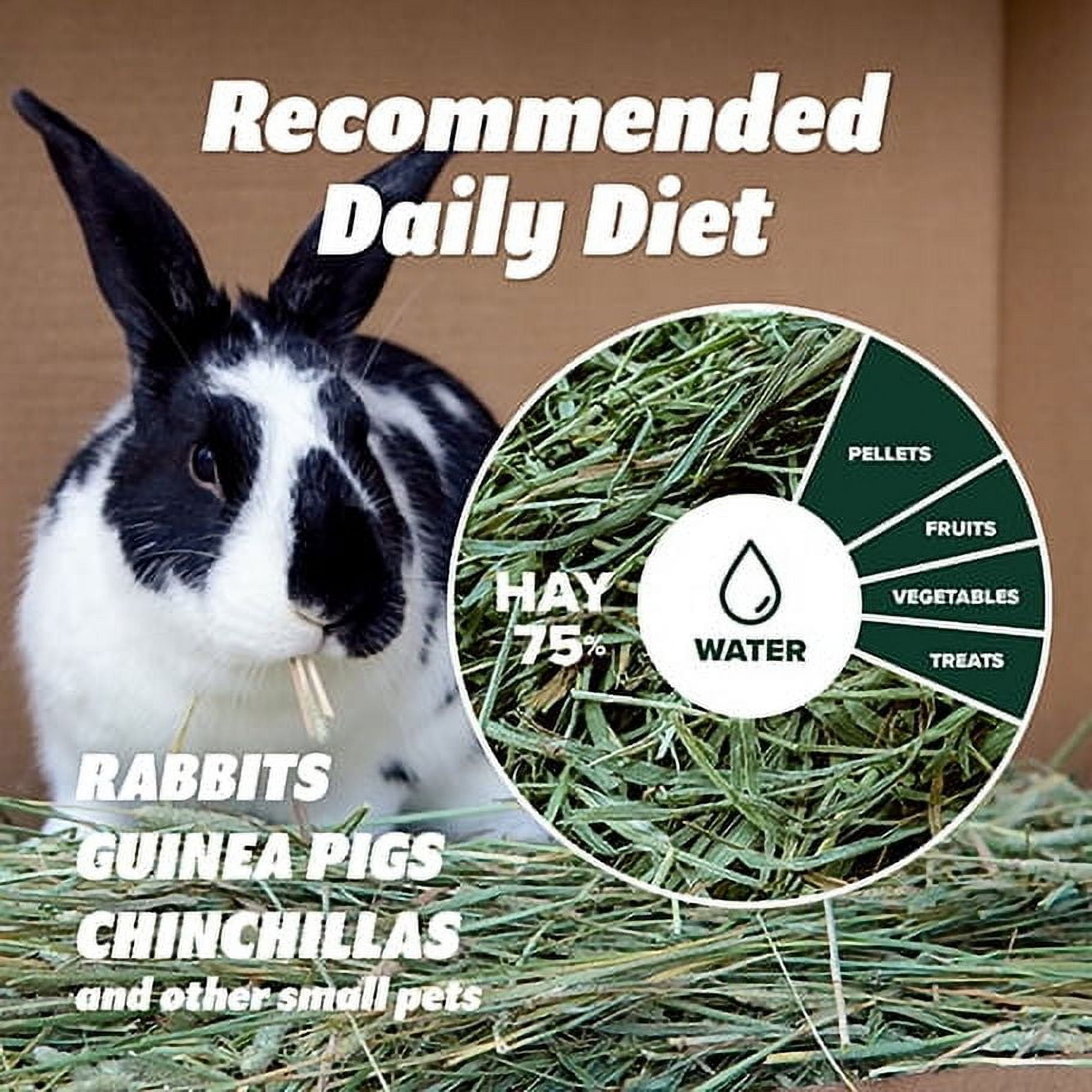 Eaton Pet and Pasture Naturally Grown, Premium, 1st Cut Western Timothy Hay Orchard Blend, Small Pet Food, Sustainable, Eco-Friendly