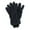 Black, variant on CTM  Lined Micro Fleece Winter Glove (Men)