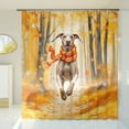 thumbnail image 3 of Welcome Fall Weimaraner Strolling Through the Autumn Maple Forest Shower Curtain Weim Gray Ghost Dog Lover Waterproof Bathroom Bathtub Curtain - 12012, 3 of 5