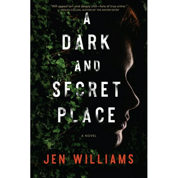 Pre-Owned A Dark and Secret Place: A Thriller (Hardcover) 1643855743 9781643855745