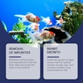 thumbnail image 6 of Fish Tank Water Algae Remover Cleaner Restore Water Qualitycontrol Algae, 6 of 9