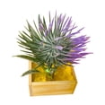 thumbnail image 4 of Simulación de plantas en macetas, mini casa de muñecas, flores, paisaje estático, modelo micro, 4 of 9