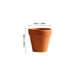 thumbnail image 4 of FELTECHELECTR 20 macetas de terracota rojas con agujero para cactus y suculentas (3 x 3 cm), 4 of 6