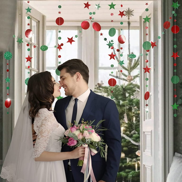 Probuk Glitter Star Garland Streamer Banner - 65 Voet (5 x 4 m), hangende ster decoraties voor bruiloft, bruid, babyborrels, verjaardagsfeestjes, Kerstmis