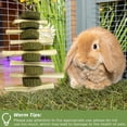 thumbnail image 4 of kathson Snacks para Chinchilla y Juguetes para Masticar de Conejo - Paquete de 4, 4 of 7
