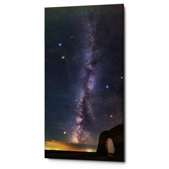 Epic Graffiti 'Lilly Way Magic' par Darren White, Art Mural sur Toile, 30"x60 Pouces