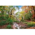 thumbnail image 2 of Rivera, John 14x11 White Modern Wood Framed Museum Art Print Titled - Autumn at Hopkins Pond, 2 of 4