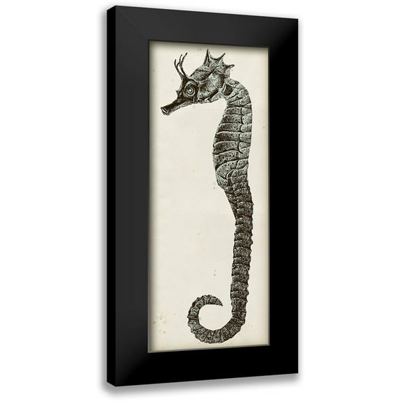 Vision Studio 8x14 Black Modern Framed Museum Art Print Titled - Vintage Seahorse I