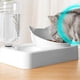 thumbnail image 5 of Cuenco de agua para gatos con orejas de gato y protector de cuello inclinado a 15°, cuenco de comida para gatos, cuenco para perros, bebedero automático para mascotas, 5 of 5