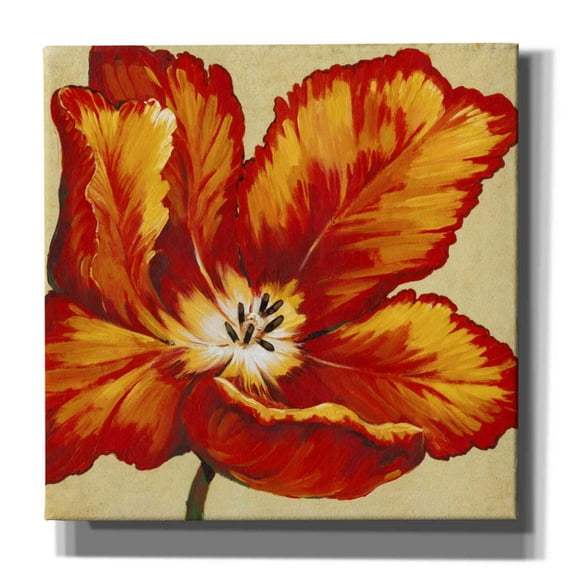 Epic Graffiti 'Parrot Tulip I' by Tim O'Toole, Canvas Wall Art, 18"x18"