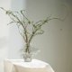 thumbnail image 1 of Jarrón de Vidrio Texturizado – Jarrón de Flores Soplado a Mano para Centro de Mesa Moderno, Mesa de Comedor o Decoración de Sala de Estar., 1 of 5