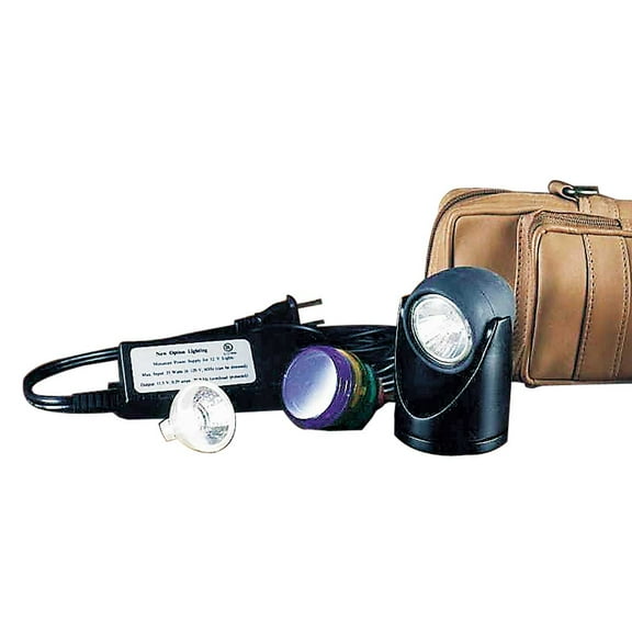 Halogen Spot Light Black 5 Colored Lenses 2"H | Renovator's Supply