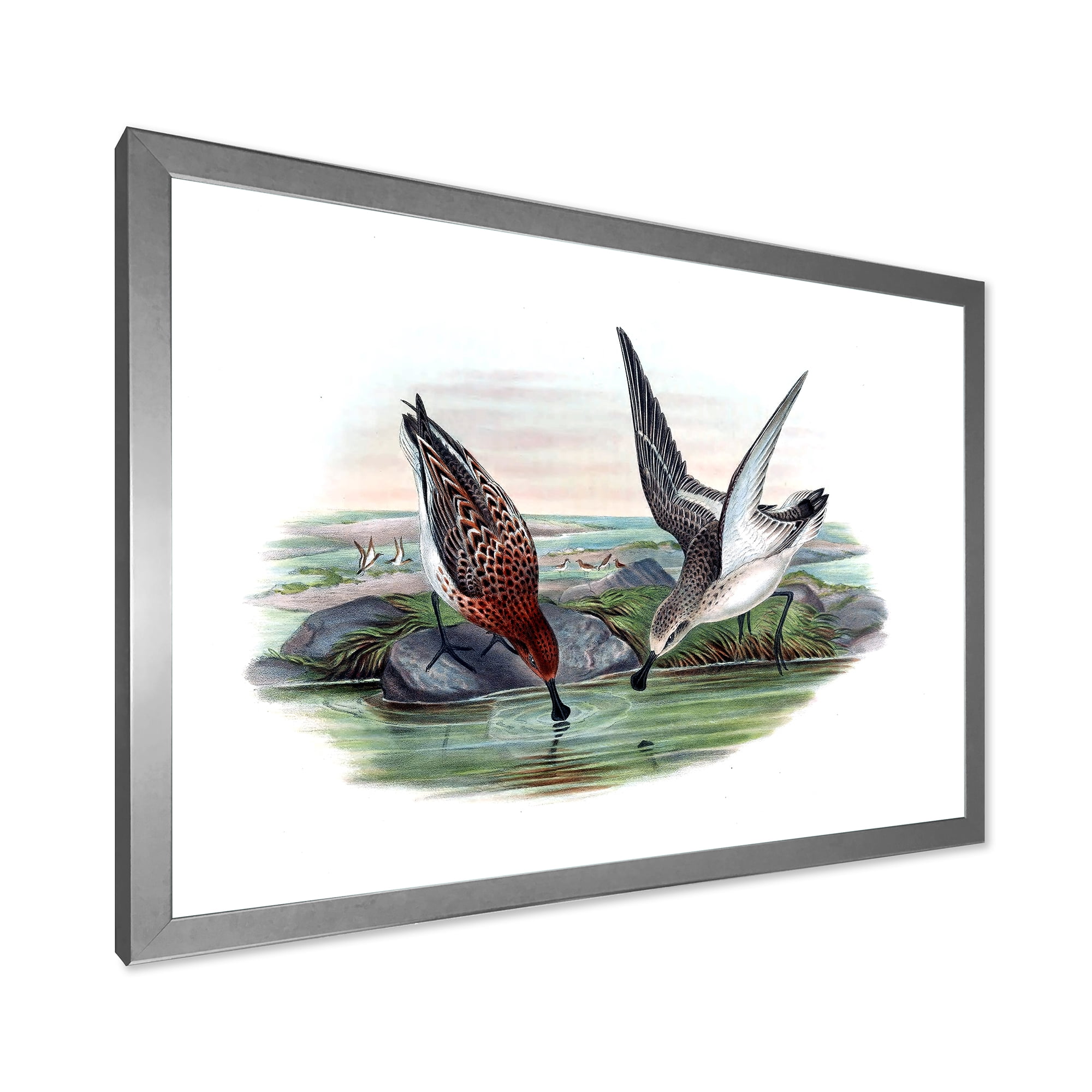Designart 'Vintage Countryside Two Birds In Lake' Farmhouse Framed Art Print