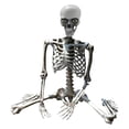 thumbnail image 2 of Squelette d'Halloween Accessoire Déco Squelette d'Halloween Taille Réelle Articulations Posables Squelettes Humains Taille Réelle Modèle d'Anatomie du Corps Décorations d'Halloween Extérieures, 2 of 6