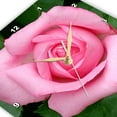 thumbnail image 3 of 3dRose, Pink Rose, 10x10 Wall Clock, 3 of 7