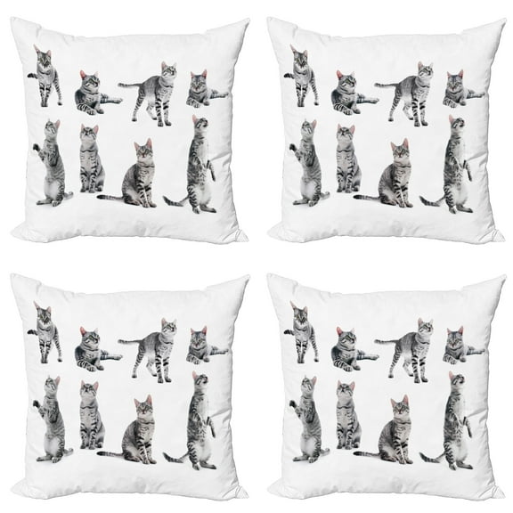 Ambesonne Cat Throw Pillow Cover 4 Pack, Photos of a Tabby Kitten Print, 24", White Pale Grey