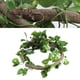 thumbnail image 4 of Decoración del hábitat de reptiles, rama trepadora de reptiles, ratán Flexible y realista para reptiles, vid de reptiles, características líderes de clase, 4 of 9