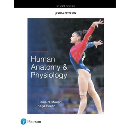 Pre-Owned Study Guide for Human Anatomy & Physiology (Paperback) 0134760239 9780134760230