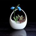 thumbnail image 2 of Ceramic Creative Personality Hanging Pot Wall Hanging Succulent Flower Pot With Drainage Holes, 2 of 10