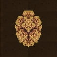 thumbnail image 1 of Ahgly Company Machine Washable Indoor Square Transitional Saddle Brown Area Rugs, 4' Square, 1 of 7