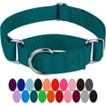 thumbnail image 1 of LAICAIW-Teal Martingale Heavy Duty Nylon Dog Collar-21 Vibrant Color Options (1 Inch Width, Large), 1 of 7