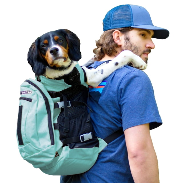 Mochila portabebés K9 Sport Sack Plus 2 Summer Mint Small