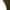 Army Green, variant on ZyeKqe Cargo Leggings for Women High Waisted Yoga Pants Ankle Length Workout Tights with Flap Pockets