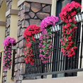 thumbnail image 6 of Morttic 2x Artificial Flowers Romantic Violet Garland Silk Flower Vines with Green Leaves Wall Hanging Decor Home Balcony Gate Garden Decorations Wedding Party Decorative Supplies (Rose Red), 6 of 7