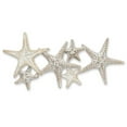 thumbnail image 1 of Starfish Family Art Work, 1 of 2